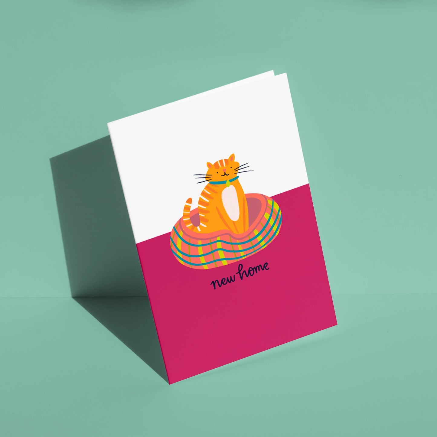 New Home Cat Lauren Radley