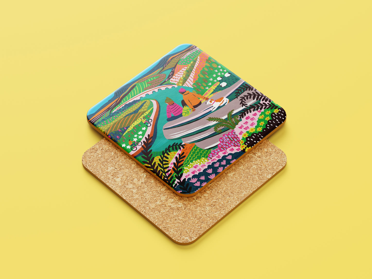 Peak District National Park Coaster