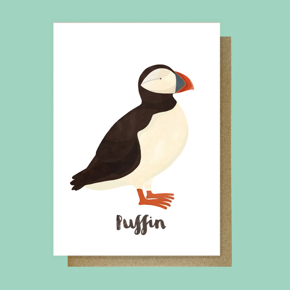 Puffin