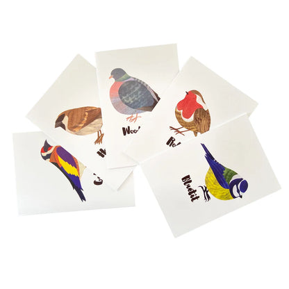 British Garden Birds Notecards Box Set