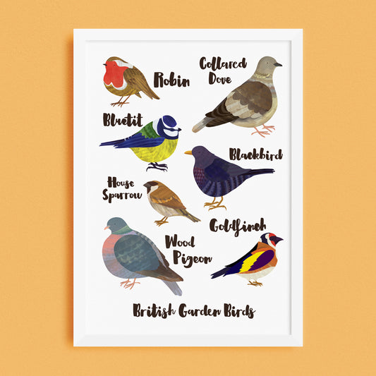 British Garden Birds
