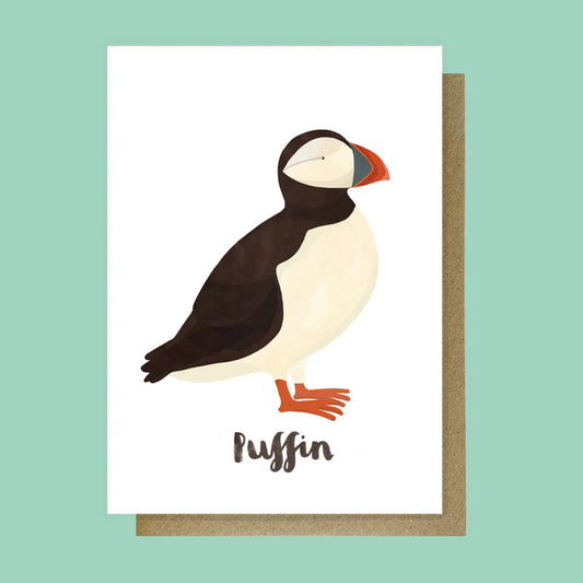 Puffin