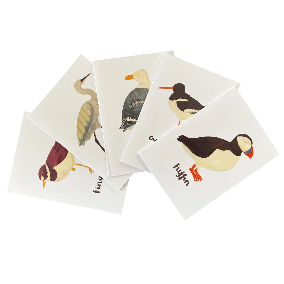British Seabirds Notecards Box Set