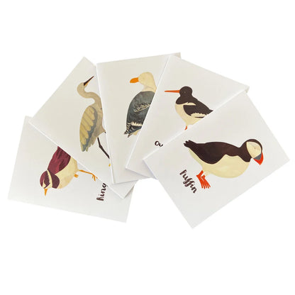 British Seabirds Notecards Box Set